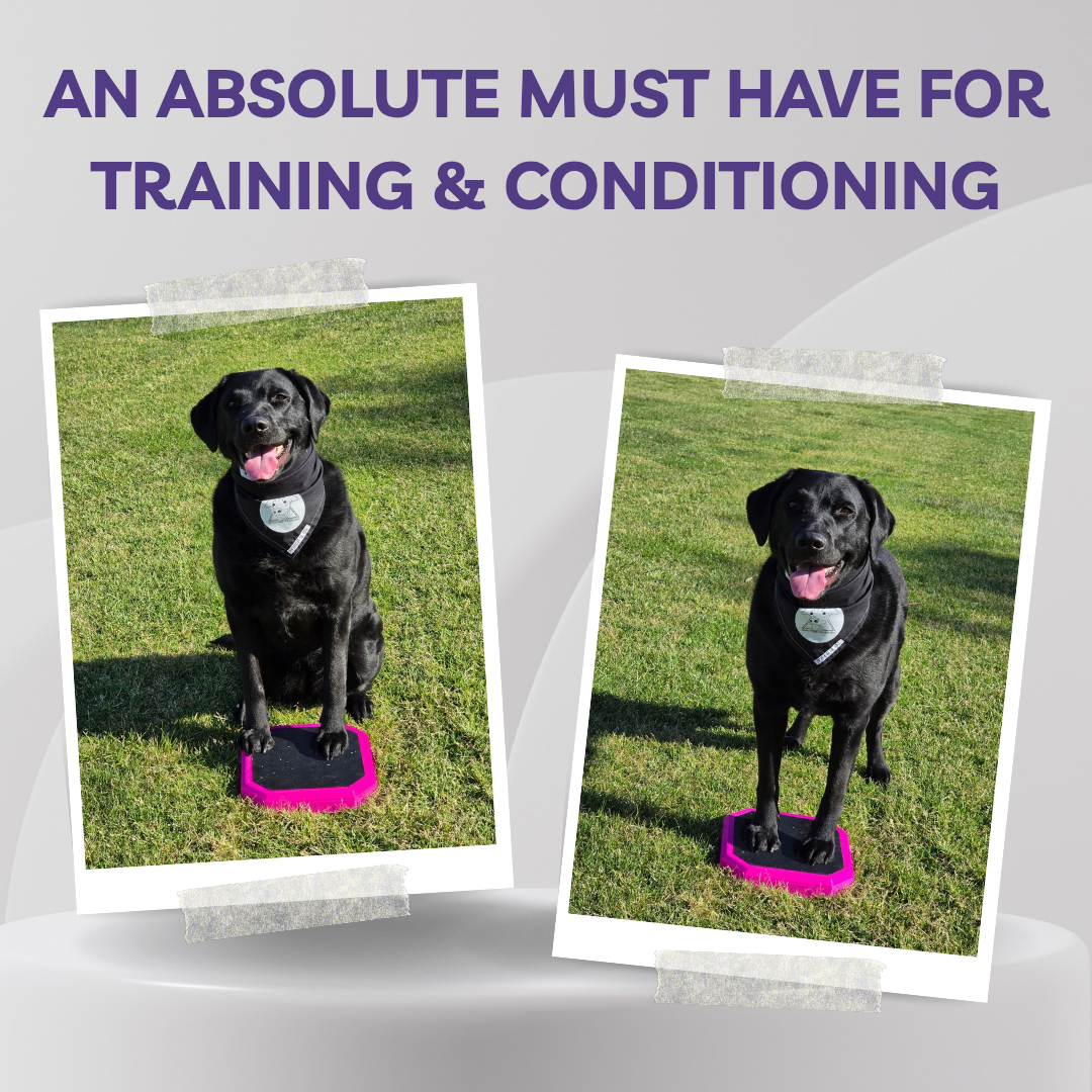 Pivot Training Step