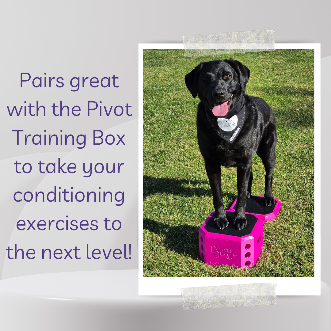 Pivot Training Step