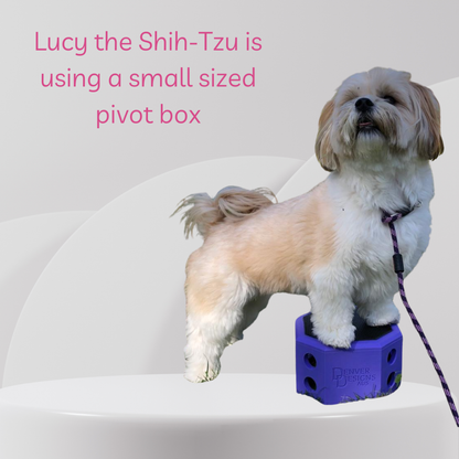Shih-Tzu dog standing on a small purple pivot box with text about the dog's size.