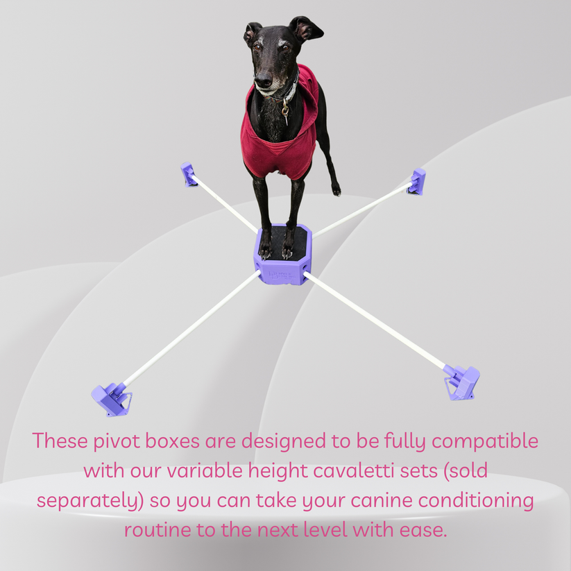 Pivot Training Box – Denver Designs Aus