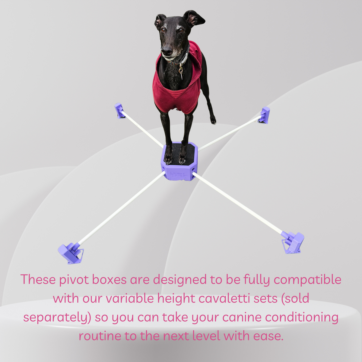 Pivot Training Box – Denver Designs Aus