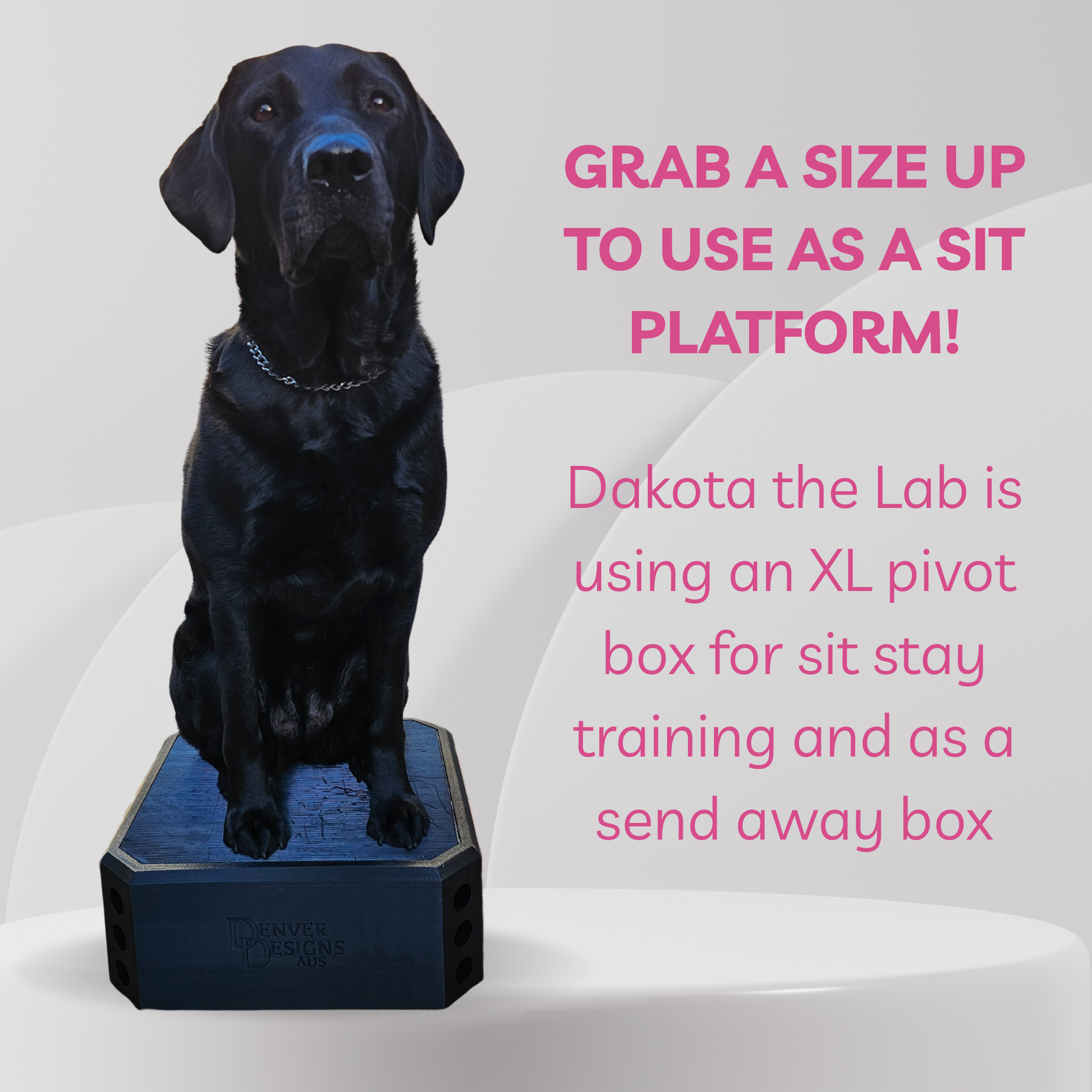 Black dog sitting on a pivot box with promotional text about its use for sit stay training.