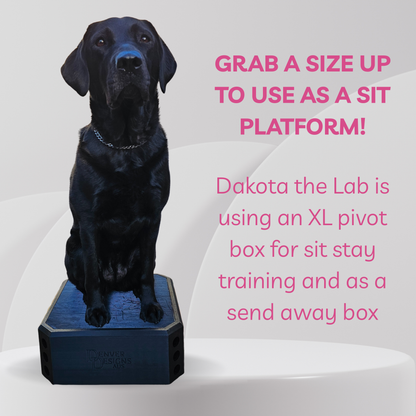 Black dog sitting on a pivot box with promotional text about its use for sit stay training.