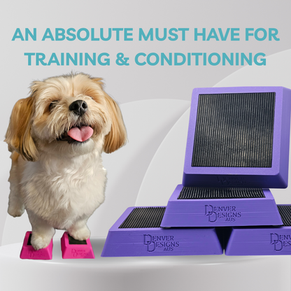 Dog standing on pink steps with purple Denver Designs pet training platform in the background