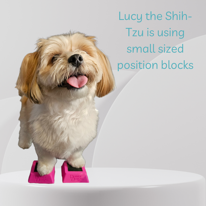 Shih-Tzu dog using small pink position blocks on a white surface with text.