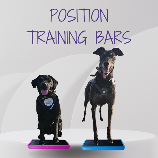 Two dogs on position training bars with text 'POSITION TRAINING BARS' above them.