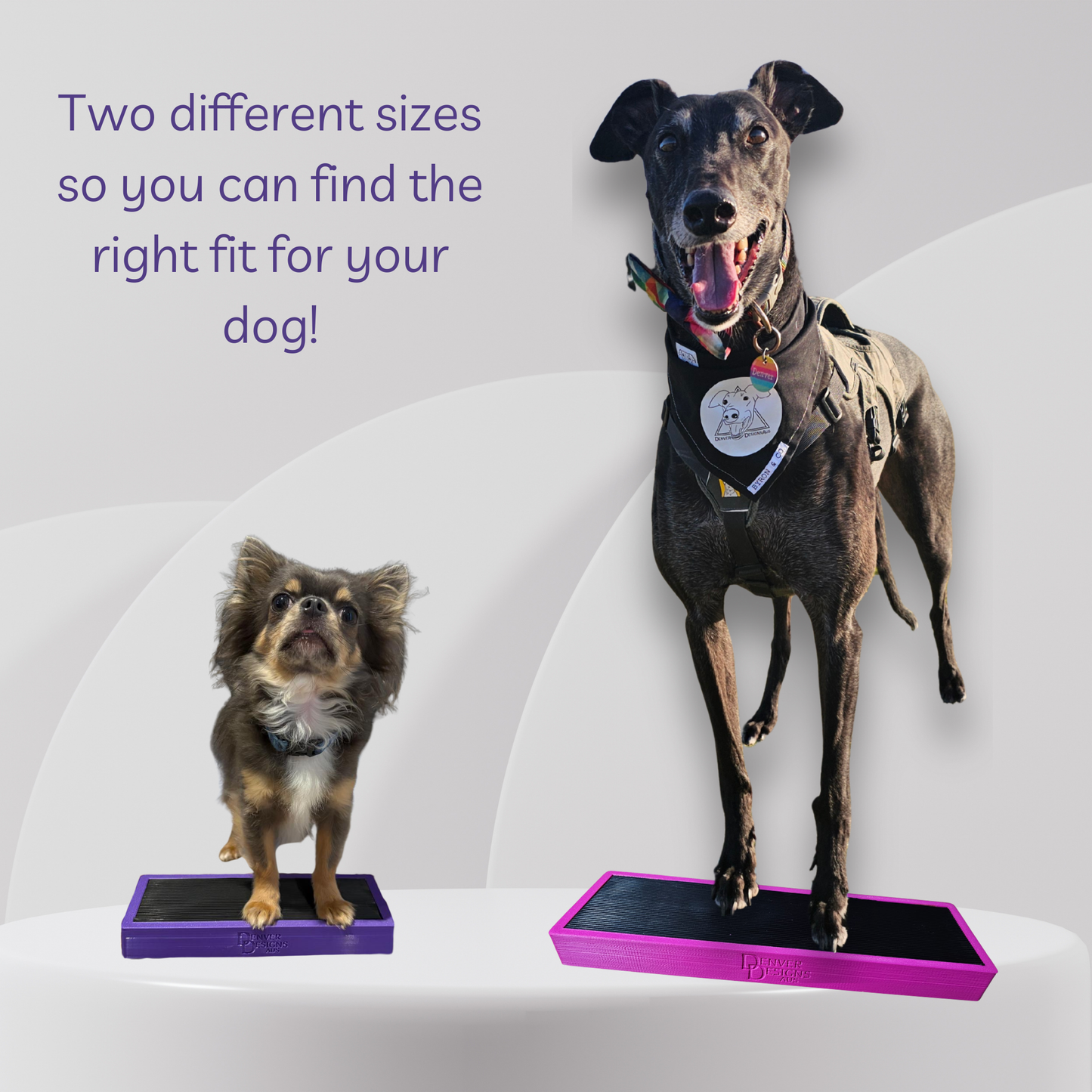 Two dogs on a platform with text indicating different sizes for a product.
