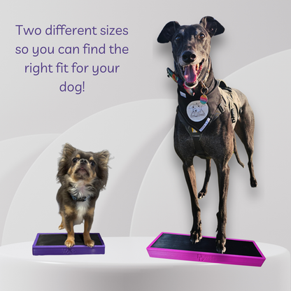 Two dogs on a platform with text indicating different sizes for a product.