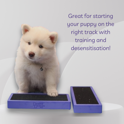 Puppy sitting on a purple step with text about training and desensitisation.