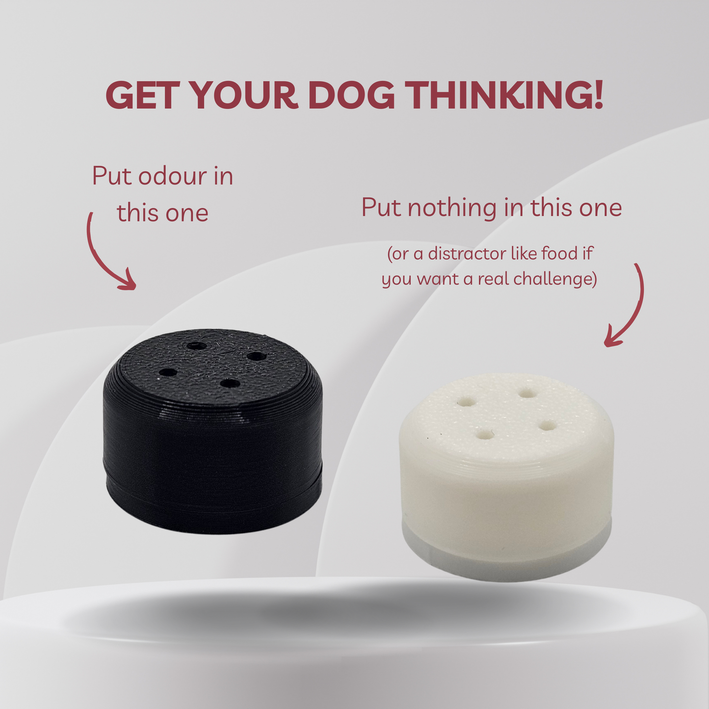 Two cylindrical dog training scent vessels shown on a light gray graphic background with explanatory text. The left cap is black and labeled 'Put odour in this one,' and the right cap is white/off-white and labeled 'Put nothing in this one (or a distractor like food if you want a real challenge).