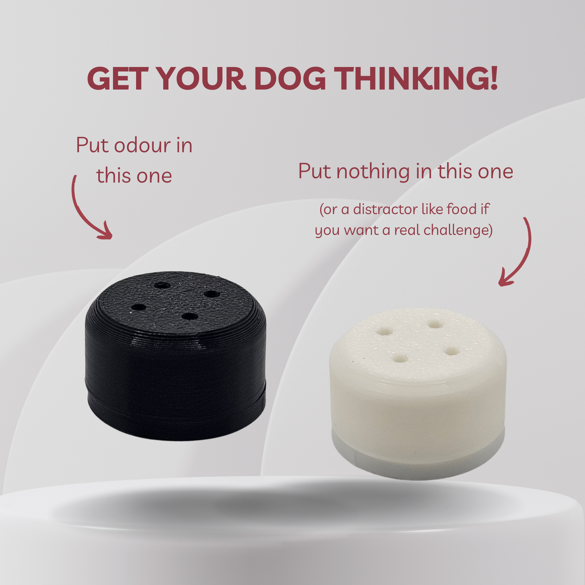Two cylindrical dog training scent vessels shown on a light gray graphic background with explanatory text. The left cap is black and labeled 'Put odour in this one,' and the right cap is white/off-white and labeled 'Put nothing in this one (or a distractor like food if you want a real challenge).