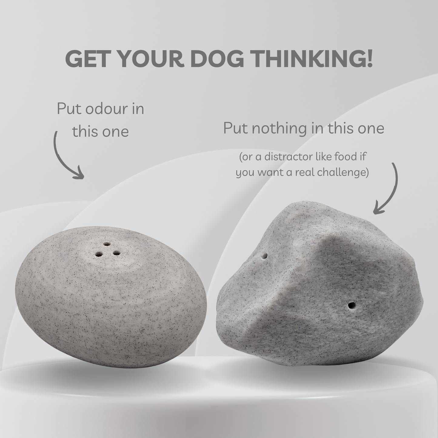 Scent Work Rock Vessels (2-Pack)