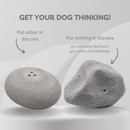 Scent Work Rock Vessels (2-Pack)