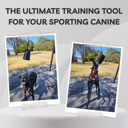 Promotional graphic for a dog training tool, featuring two tilted photo frames showing a black dog jumping to grab a hanging black bucket on an outdoor patio. Large text at the top reads 'THE ULTIMATE TRAINING TOOL FOR YOUR SPORTING CANINE'.