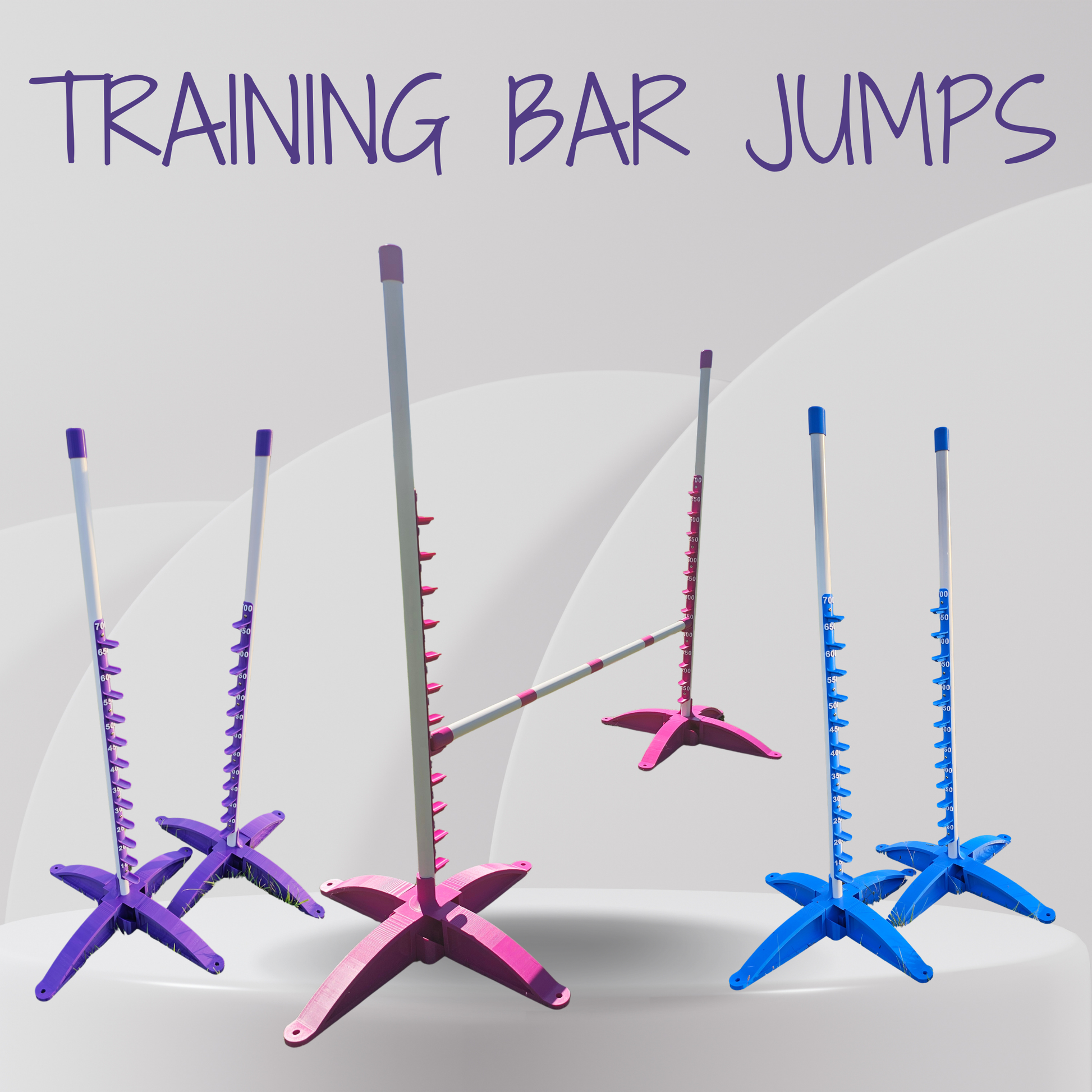 Set of training bar jumps with purple, pink, and blue colors on a white background.