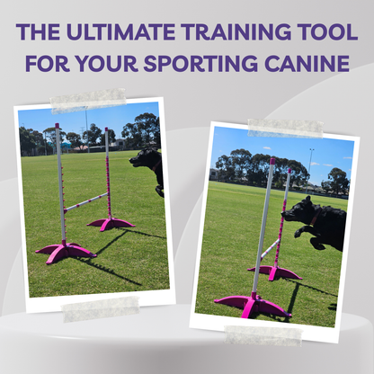 Dog training obstacle with text 'The Ultimate Training Tool for Your Sporting Canine' on a white background.