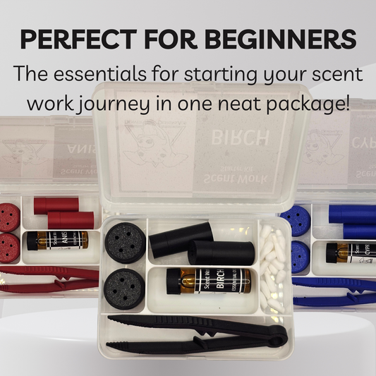 An open clear plastic kit box showing a beginner's scent work essentials, including small bottles, cotton plugs, wicks, tongs, and color-coded components, with large text above reading 'PERFECT FOR BEGINNERS'.