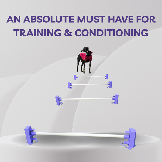 Dog exercise equipment with text 'An absolute must have for training & conditioning' on a gray background