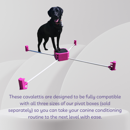 Black dog standing on a pink cavalettis with text about compatibility with pivot boxes.