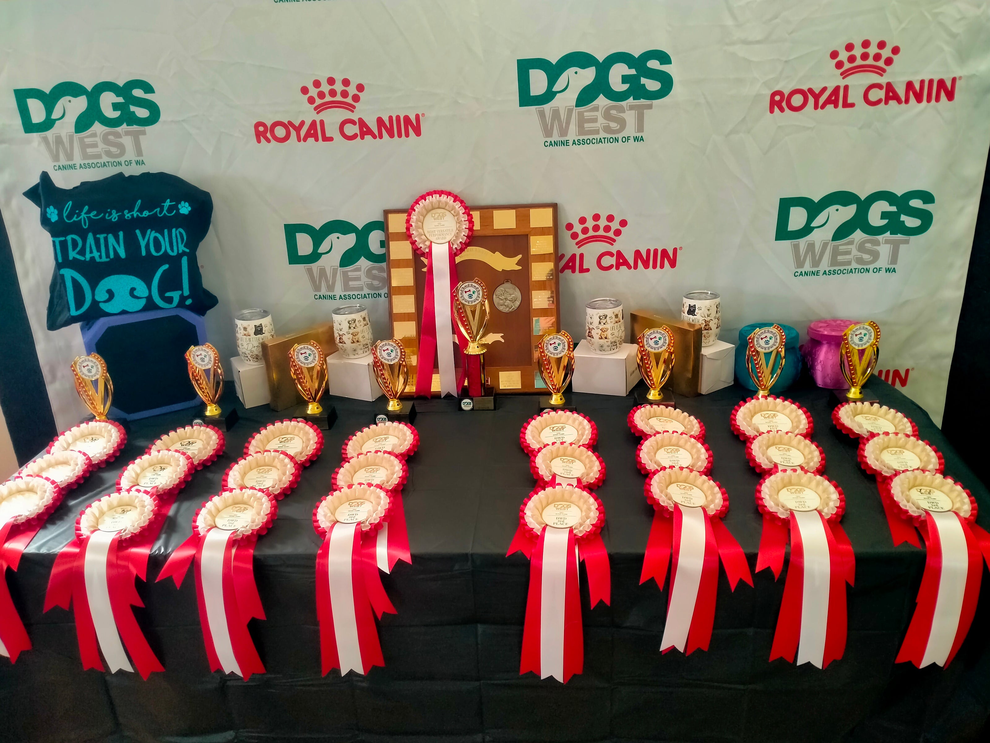 Table displaying dog show awards with ribbons and trophies against a branded backdrop.